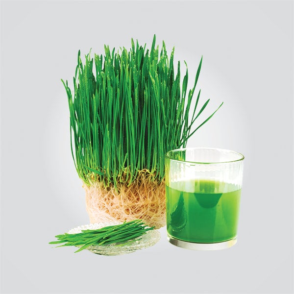 Green grass juice top